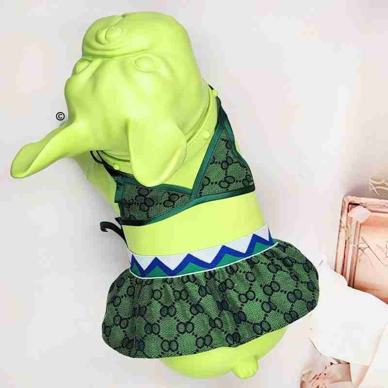 gucci-green bathing-suit-dog