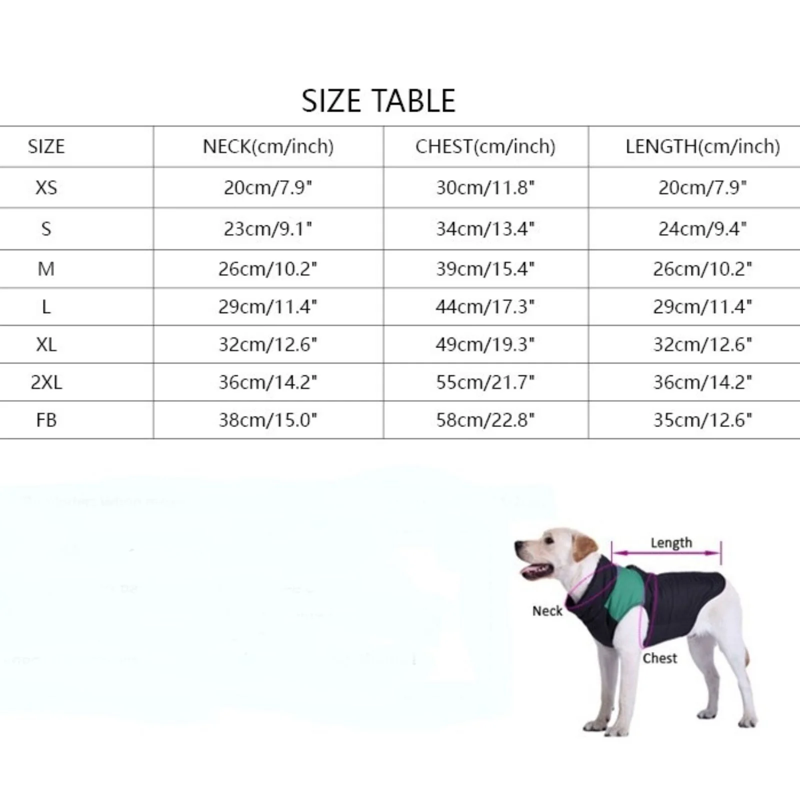 size chart for dogs