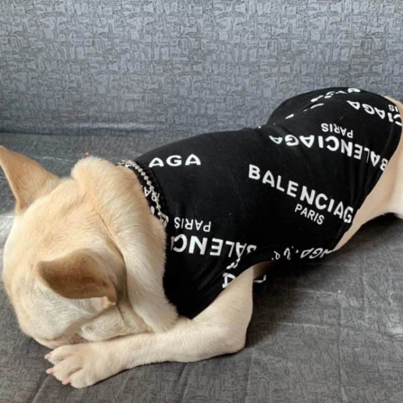white french bulldog wearing a balenciaga black t- dhirt for dogs