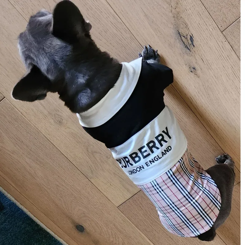 furberry fall shirt for all occassions