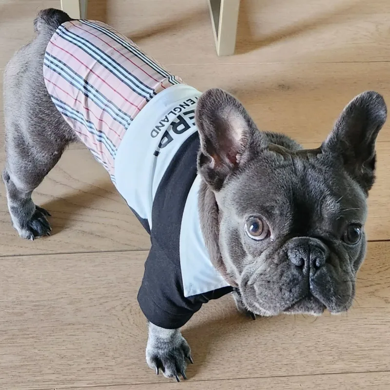 furberry fall shirt for all occassions