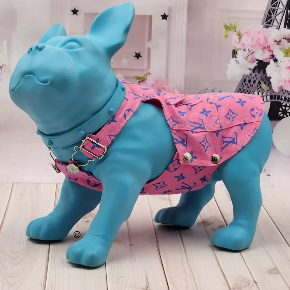 Couture Playfulness: Louie Jean Jumper for Dogs &ndash; a Burst of Colorful Fun