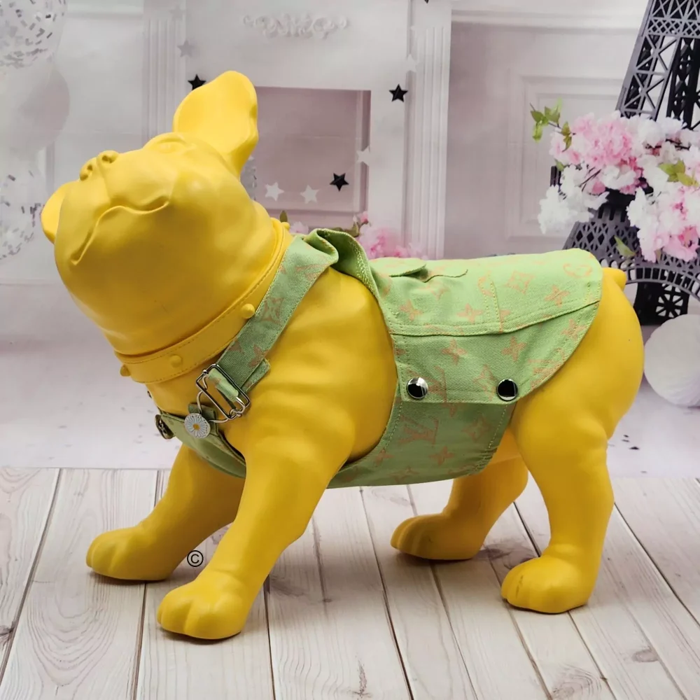 Couture Playfulness: Louie Jean Jumper for Dogs &ndash; a Burst of Colorful Fun1