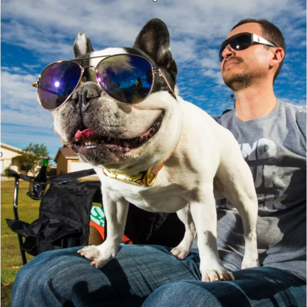 Give Your Senior Pet the Care They Deserve