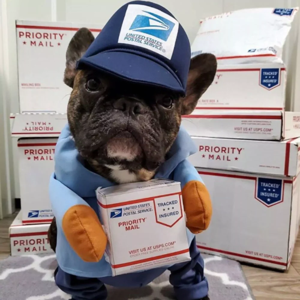 FRENCHIE IN USPS COSTUME