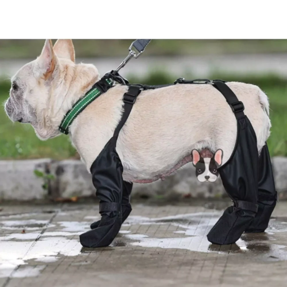Waterproof Dog Boots-Stylish & Durable Hip Boots for Pets4