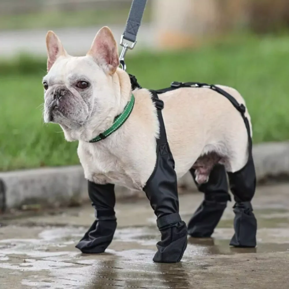 Waterproof Dog Boots-Stylish & Durable Hip Boots for Pets