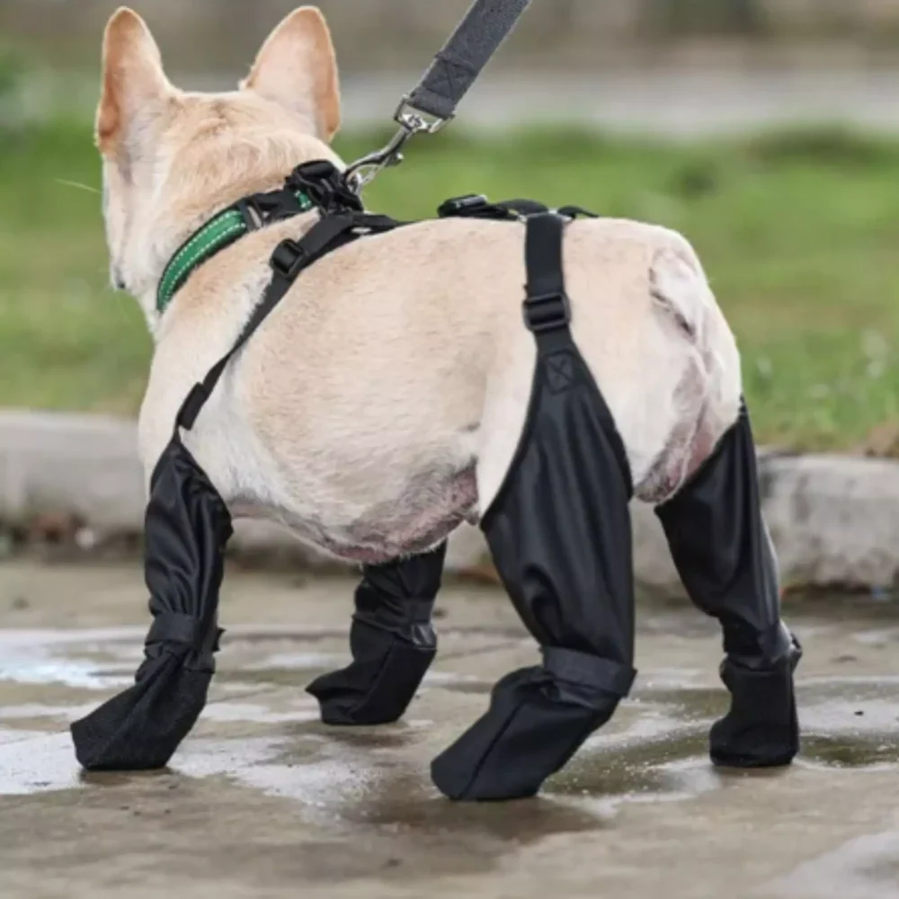 Waterproof Dog Boots-Stylish & Durable Hip Boots for Pets1