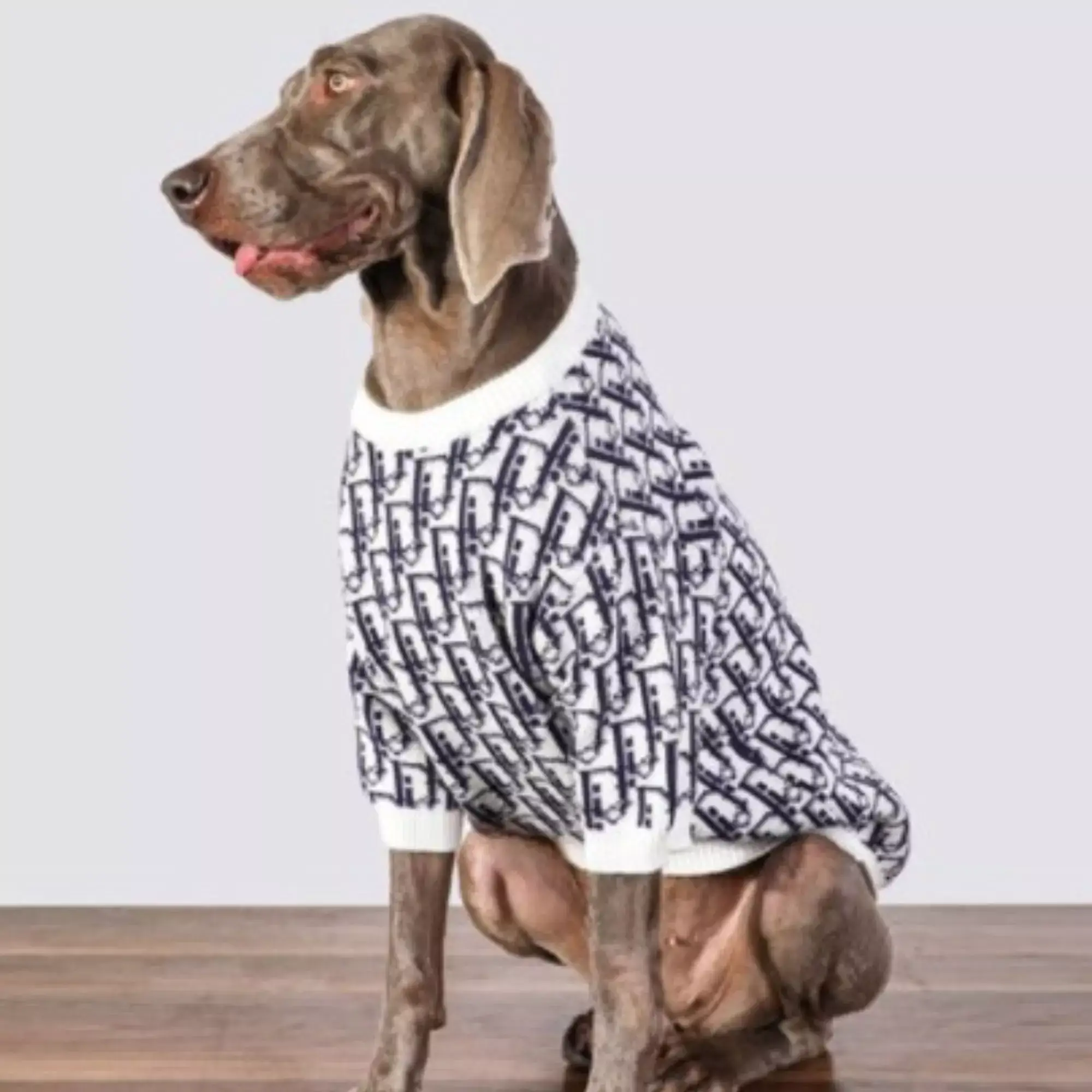 Dapper Big Dogs Meet Your New Favorite Sweater1