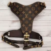LOUIE HARNESS & MATCHING LEASH