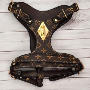HOME 28 LOUIE HARNESS & MATCHING LEASH2