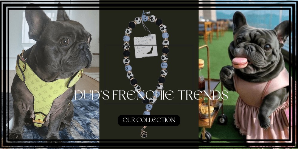 A BLUE FRENCH BULLDOG IN A LEATHER HARN AN A FRENCH BULLGO EATING COOKI ALONG WITH A DISPALY OF DESIGNER NECKLACES